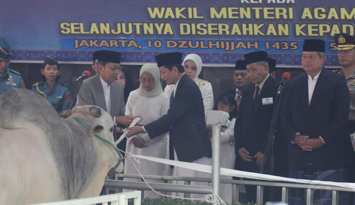 Wakil Presiden Boediono juga menyerahkan hewan kurban berupa sapi kepada panitia di Masjid Istiqlal, Jakarta, (5/10/14). (Liputan6.com/Johan Tallo)