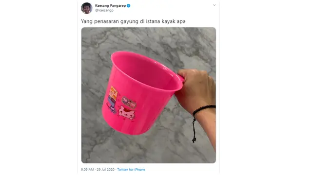 Jawab Rasa Penasaran, Kaesang Unggah Penampakan Barang di Istana