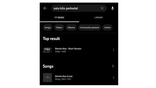 12 Keyword Nyeleneh Netizen saat Cari Judul Lagu di YouTube Ini Kocak