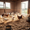 Kandang Ayam Litter Floor dengan Alas Serbuk Kayu atau Sekam (Image by Gemini AI)