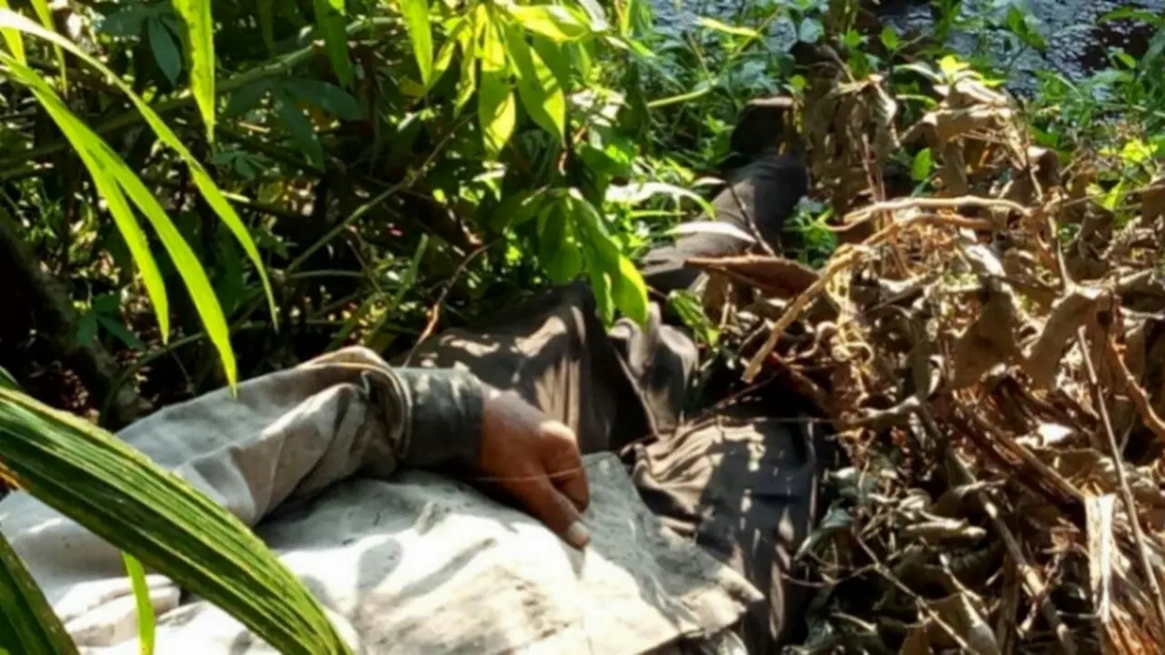 Niat Lindungi Hasil Panen, Petani Karet Malah Diperiksa Polisi
