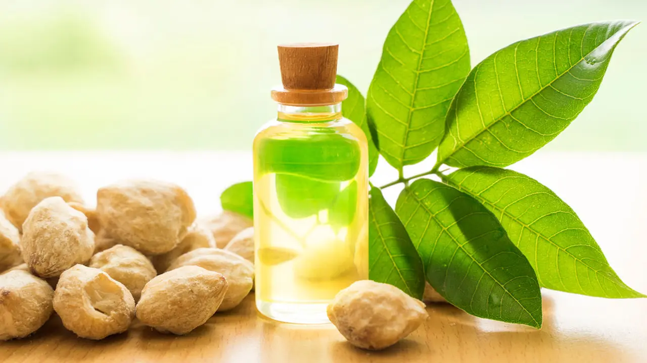 4 Manfaat Minyak Kemiri untuk Kecantikan, Bisa Bikin Awet Muda
