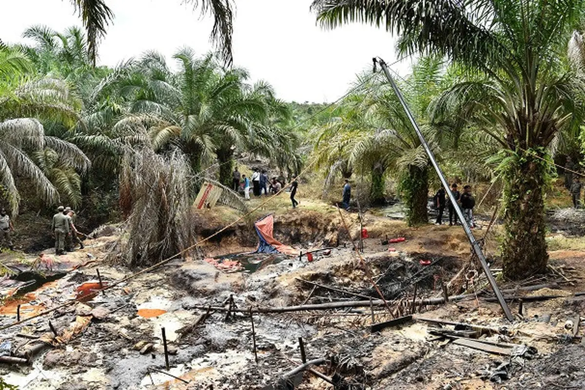Penambangan Liar Jambi