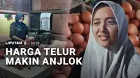 Yang lagi butuh protein tinggi, harga telur dan daging ayam tengah anjlok. Pembeli senang karena harga murah, penjualan pedagang pun meningkat. Tapi, di sisi lain, peternak menjerit karena makin tingginya harga pakan ayam yang masih impor.