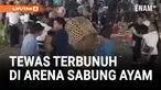 TRAGIS! SALAH PAHAM DI ARENA SABUNG AYAM BERUJUNG PEMBANTAIAN BERDARAH DI BANGLI, BALI