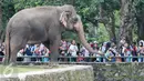 Sejumlah Warga melihat gajah di Taman Margasatwa Ragunan, Jakarta Selatan, Senin (24/4). Manfaatkan libur Isra Mi'raj, warga ajak keluarga liburan di Taman Margasatwa Ragunan. (Liputan6.com/Yoppy Renato)