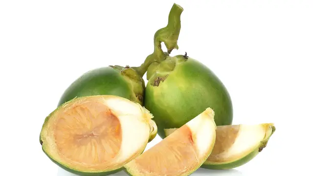 Makanan Khas Jambi