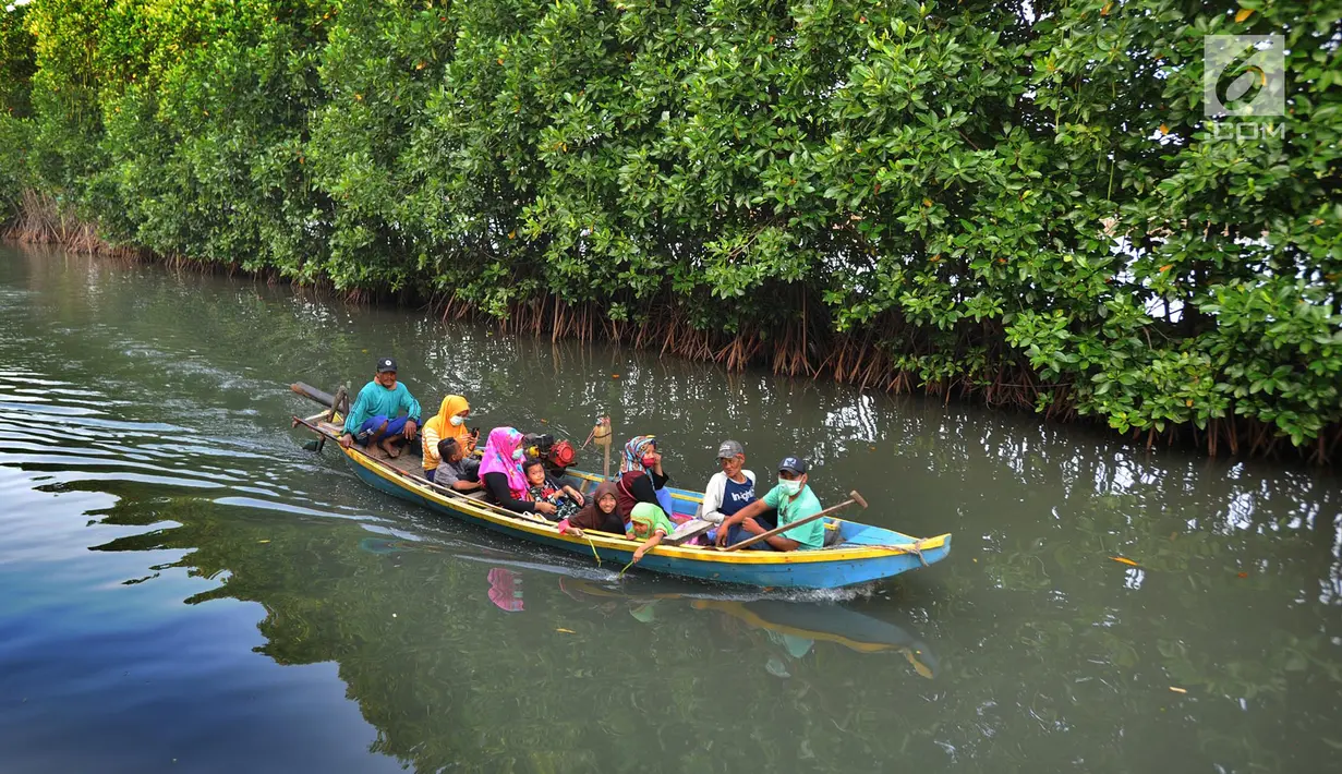 Perahu wisatawan melewati hutan mangrove di Sungai Rindu, Desa Hurip Jaya, Babelan, Bekasi, Jumat (7/6/2019). Berkeliling naik perahu melewati kawasan hutan mangrove di Sungai Rindu ini menjadi daya tarik para wisatawan lokal. (merdeka.com/Arie Basuki)