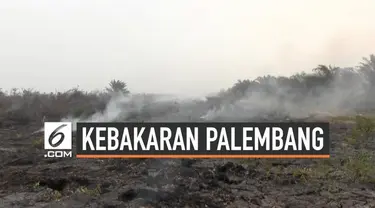 Setelah diguyur hujan selama dua hari kini titik api yang ada di Palembang, Sumatera Selatan justru bertambah. Diduga api di lahan gambut ternyata masih ada di lapisan bawah.