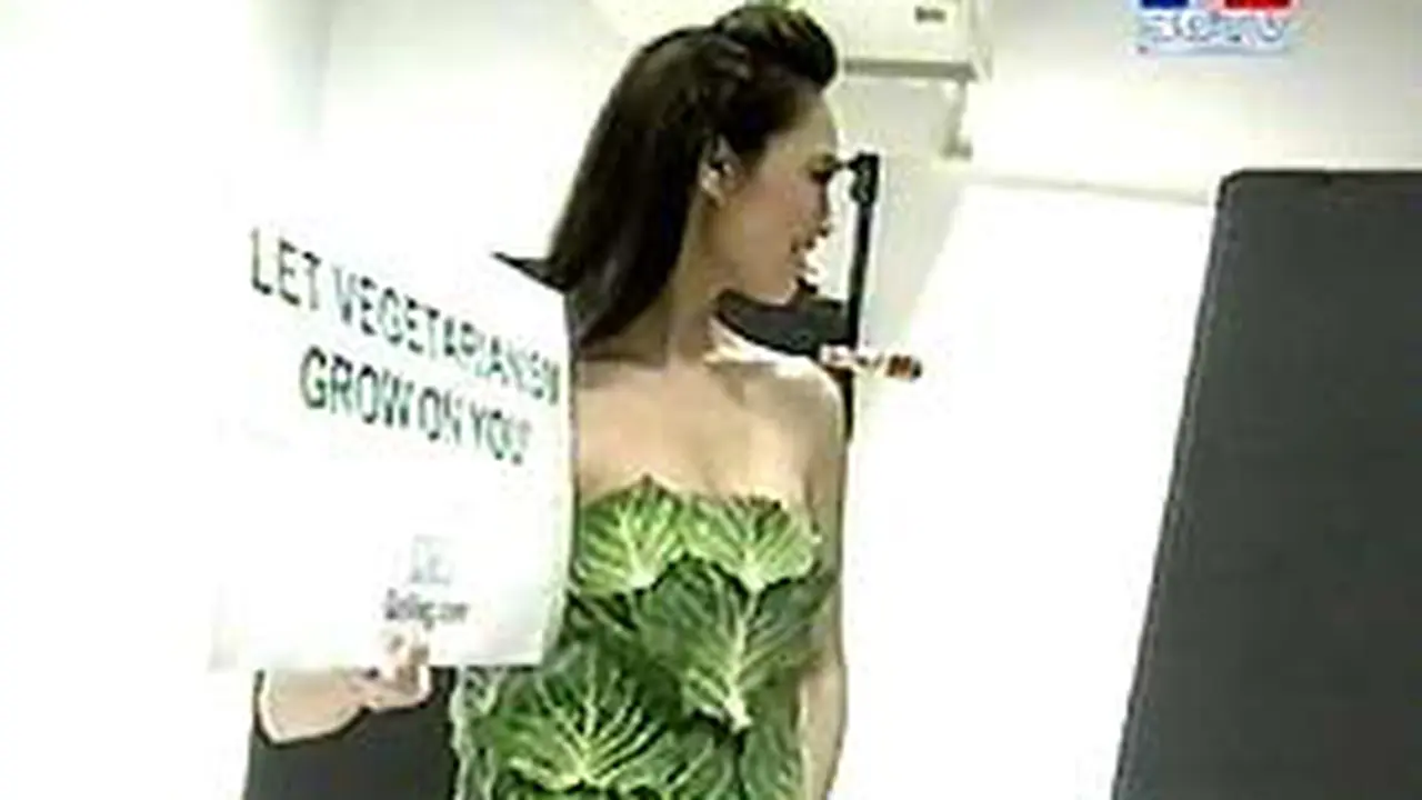 080604dLnVegetarian.jpg