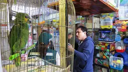 Sebuah pasar yang menawarkan sejumlah binatang langka di Trujillo, Lima, Peru (12/7). Menurut pihak berwenang, lebih dari 20 persen dari 68.000 spesimen disita dalam 15 tahun terakhir. (AFP PHOTO)