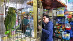 Sebuah pasar yang menawarkan sejumlah binatang langka di Trujillo, Lima, Peru (12/7). Menurut pihak berwenang, lebih dari 20 persen dari 68.000 spesimen disita dalam 15 tahun terakhir. (AFP PHOTO)
