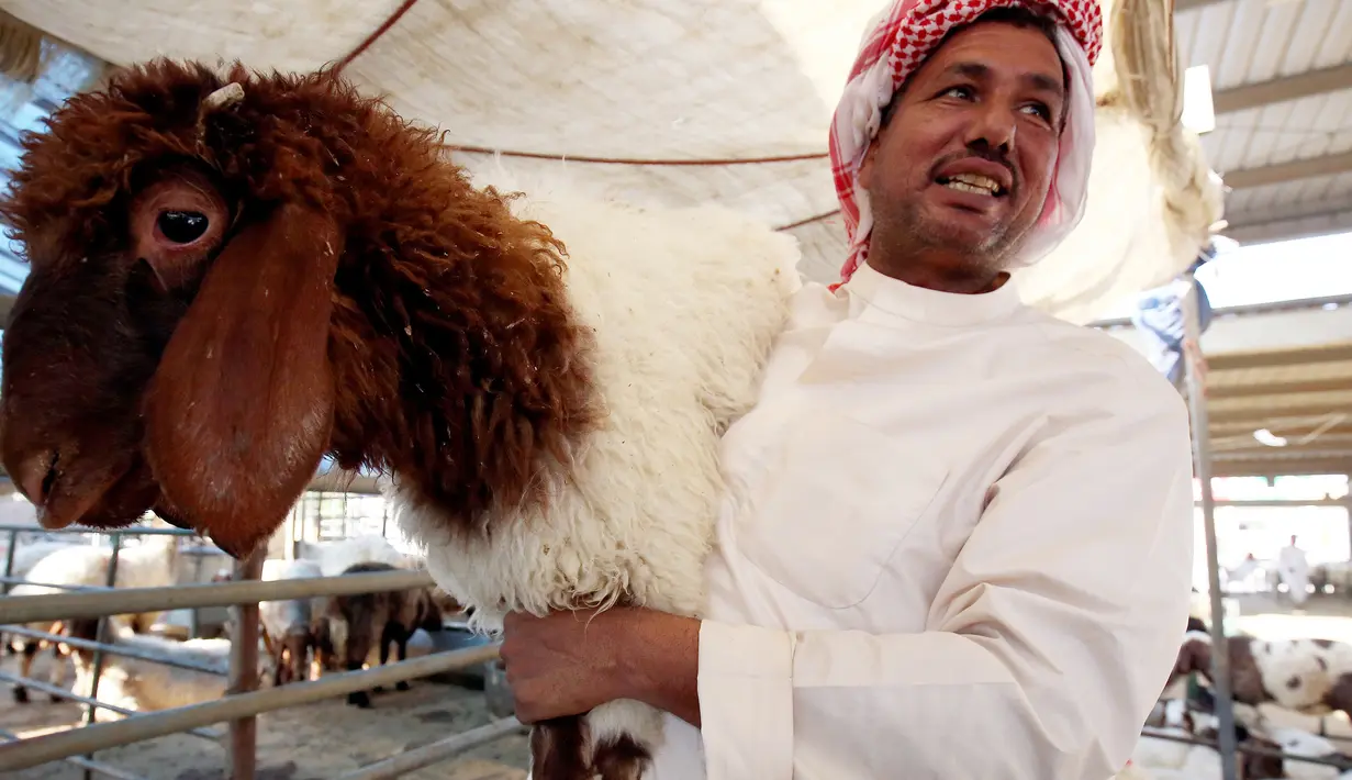 Pedagang membawa seekor domba sembari menunggu pembeli hewan kurban di sebuah pasar ternak di Kuwait pada 5 Agustus 2019. Umat Islam di seluruh dunia akan merayakan Idul Adha yang identik dengan tradisi berkurban dengan hewan seperti kambing, domba, unta, sapi dan kerbau. (Yasser Al-Zayyat/AFP)