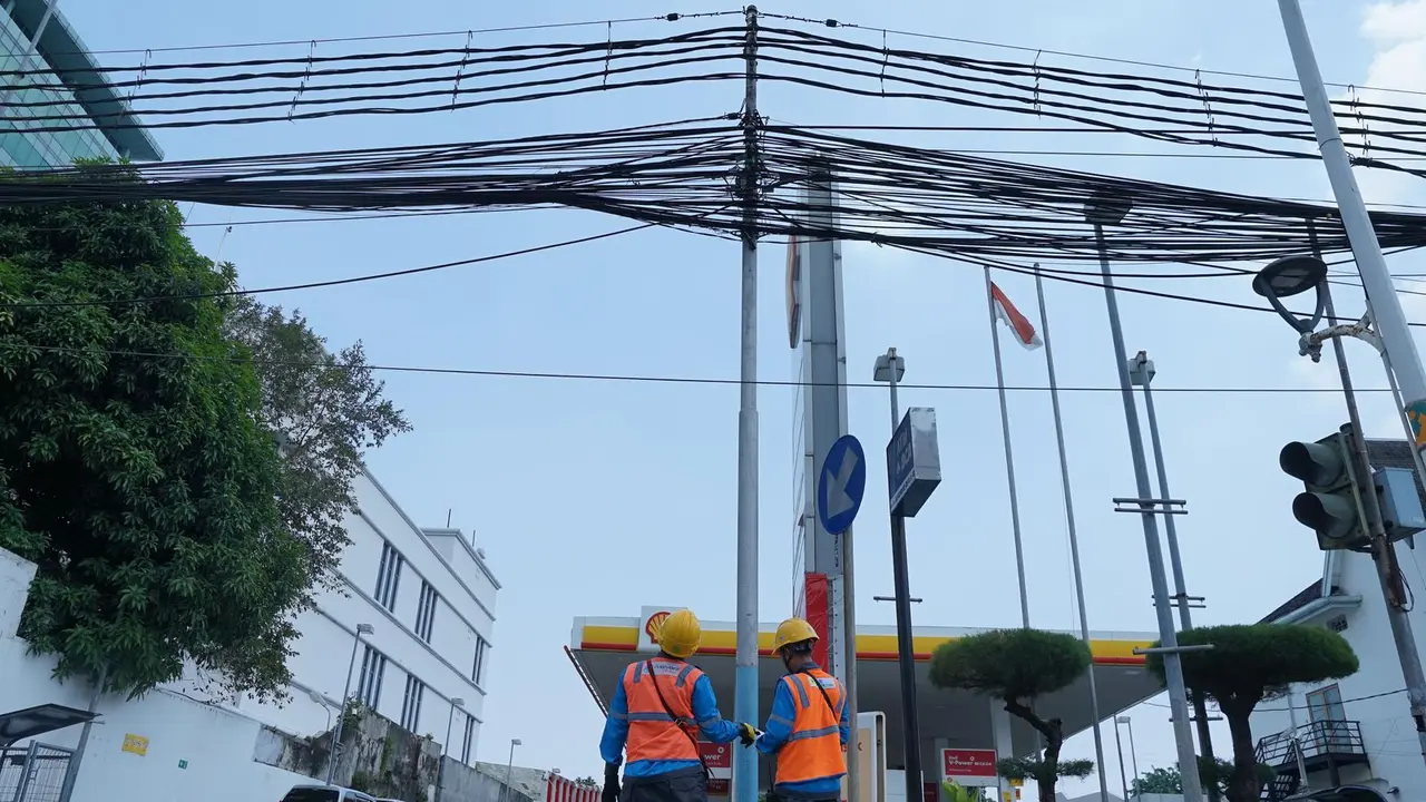 PLN