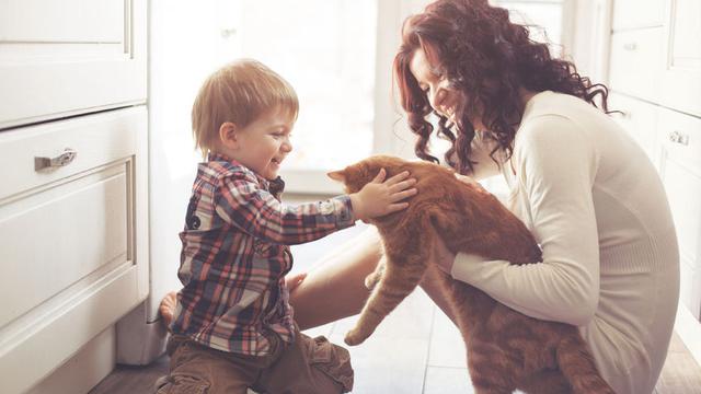 9500 Gambar Anak Merawat Hewan Terbaik