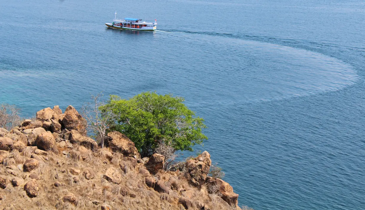 Di sekitar Pink Beach juga terdapat beberapa destinasi wisata yang kalah indahnya, antara lain Pulau Rinca dan Pulau Padar. (Liputan6.com/ Ahmad Ibo).