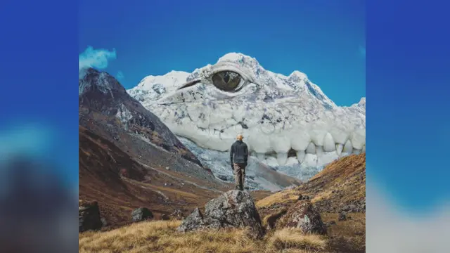 Salah satu konsep gambar manipulasi andalannya ialah hewan yang membaur dengan alam.