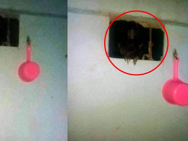 Sempat Dikira Hantu Penampakan Ini Ujungnya Justru Bikin Ngakak