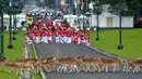 <p>Gerombolan rusa melintas di Istana Bogor jelang kedatangan rombongan Raja Salman, Bogor, Rabu (1/2). Raja Salman membawa sebanyak 1.500 orang termasuk di dalamnya putera mahkota, pangeran dan para menteri. (AFP PHOTO / POOL / Dita Alangkara)</p>