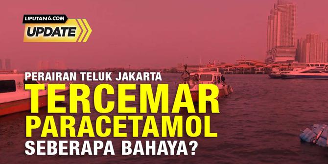 Perairan Teluk Jakarta Tercemar Parasetamol, Seberapa Bahaya?