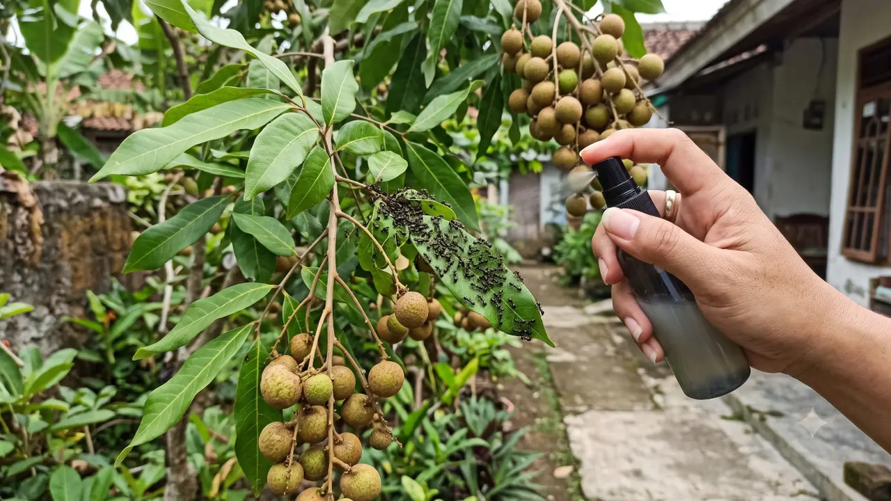 Mengusir Semut dari Tanaman Buah
