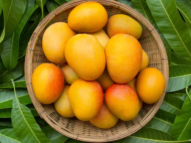 Cara Menyimpan Buah Mangga Agar Tak Mudah Busuk Lifestyle Fimela Com