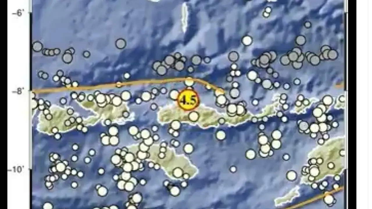 Manggarai NTT diguncang gempa. (BMKG)