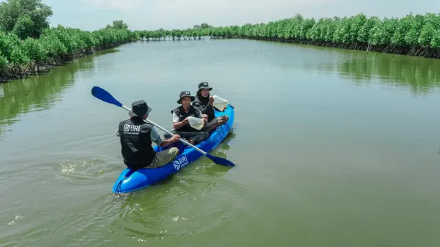 BRI Tanam 500 Mangrove di Muara Gembong untuk Jaga Ekosistem Pesisir
