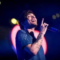 Pada beberapa hari yang lalu usai perayaan besar pesta Coachella, Louis sempat bikin geger para netizen. (AFP/Bintang.com)