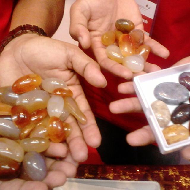 Red Rafflesia Batu Mulia Langka Yang Harus Kamu Tahu Citizen6 Liputan6 Com