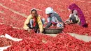 Sejumlah perempuan India mengupas tangkai cabai merah di sebuah lahan pertanian di Desa Shertha, dekat Gandhinagar, 25 Maret 2018. Ribuan cabai menciptakan karpet yang menakjubkan berwarna merah. (AP Photo/Ajit Solanki)