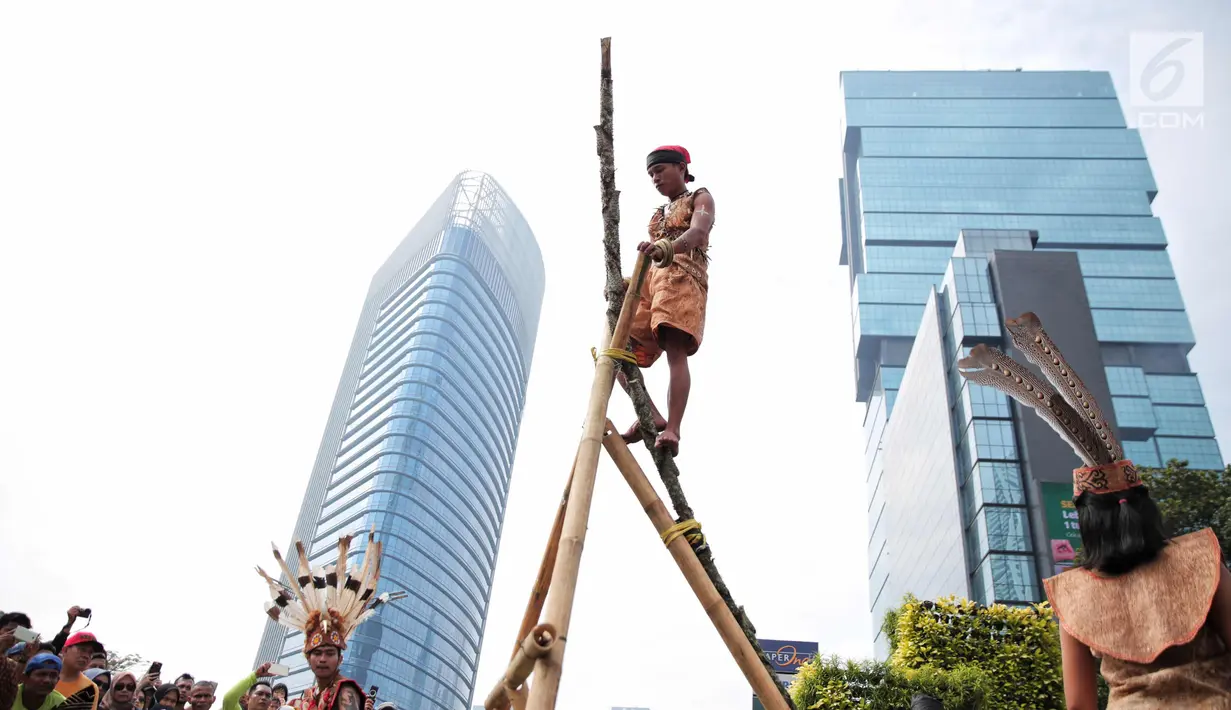 Penari berpakaian adat Dayak melakukan pertunjukan memanjat pohon manau berduri pada pawai budaya saat Car Free Day di kawasan Sudirman, Jakarta, Minggu (29/10). Kegiatan ini dikemas dengan nama Gelar Pesona Budaya Tabalong. (Liputan6.com/Faizal Fanani)