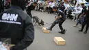 Seekor anjing unit k-9 didampingi pelatih milik BNN beraksi saat simulasi mencari barang bukti narkoba di Monumen Nasional, Jakarta, Selasa (6/12). Pasukan K9 yang dibentuk BNN terdiri dari berbagai jenis anjing. (Liputan6.com/Faizal Fanani)