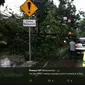 Dua mobil tertimpa pohon tumbang di Jalan LLRE Martadinata, Kota Bandung. Sebelumnya, ibu kota Provinsi Jawa Barat itu dilanda hujan deras disertai angin kencang dan petir. (Screenshot: Twitter/@MustopaUpt)