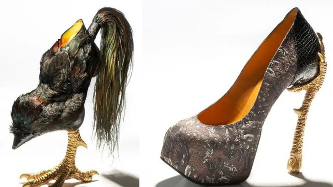 Sepatu dari Cakar Ayam