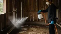 Cara Membuat Disinfektan Kandang Sederhana yang Efektif dan Aman untuk Ternak