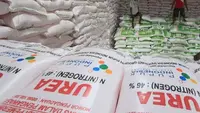 Stok Pupuk Aman, Purbaya Sebut RI Siap Ekspor di Tengah Krisis Global