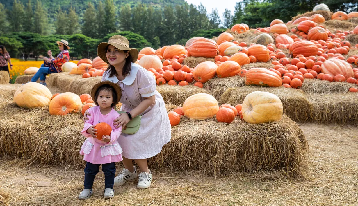 Para turis berpose di Jim Thompson Farm, Provinsi Nakhon Ratchasima, Thailand, 19 Desember 2020. Sejak 2001, Jim Thompson Farm mulai membuka pintunya setiap tahun pada bulan Desember sebagai situs pertanian bagi pengunjung yang mencintai alam. (Xinhua/Zhang Keren)
