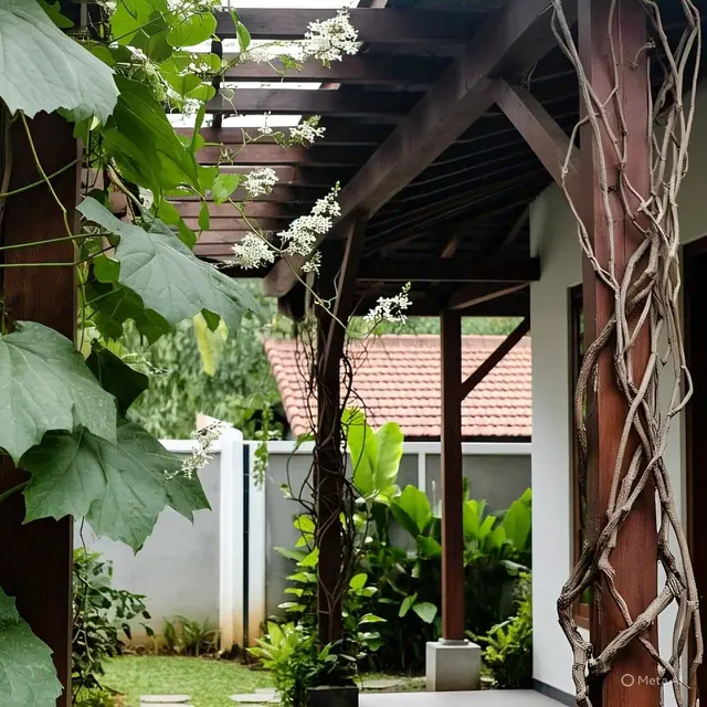 Taman dengan Pergola Kayu dan Tanaman Merambat