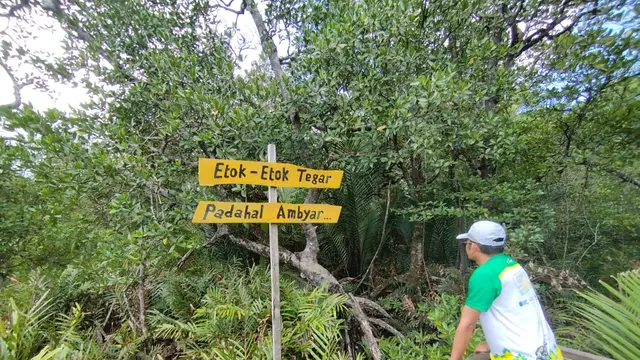Wisata Mangrove Lati Tuo Paser Suguhkan Pesona Alam yang Asri dan Menyenangkan
