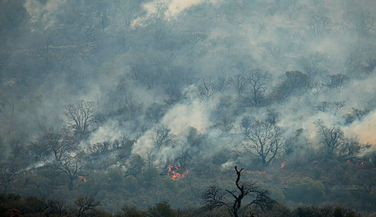 Kebakaran hutan terlihat di San Marcos Sierra, provinsi Cordoba, Argentina, pada 23 September 2024. (STRINGER/AFP)