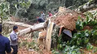 Jalur Riau- Sumbar yang sempat terputus akibat longsor sudah mulai beroperasi. (Liputan6.com/M Syukur)