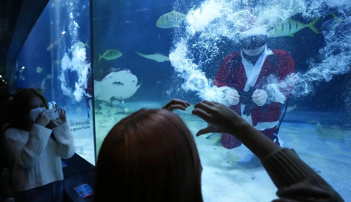 Seorang penyelam berpakaian Sinterklas tampil pada acara untuk mempromosikan liburan Natal di Coex Aquarium, Seoul, Korea Selatan, Jumat (3/12/2021). Natal adalah salah satu hari libur terbesar yang dirayakan di Korea Selatan. (AP Photo/Ahn Young-joon)