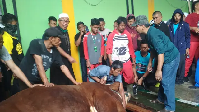 Satu ekor sapi jumbo seberat 1,2 ton tengah disembelih petugas kurban SMKN 1 Garut, Jawa Barat beberapa waktu lalu