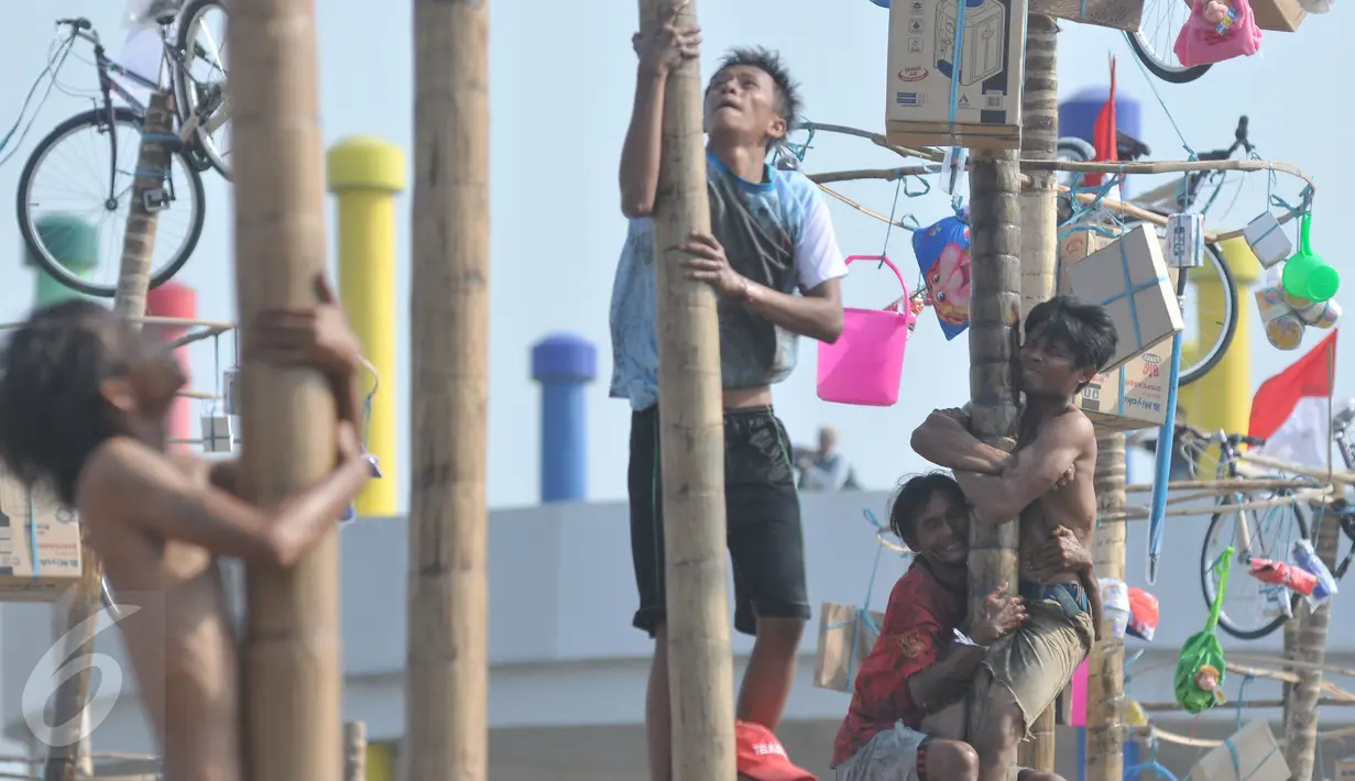 Warga mengikuti lomba Panjat Pinang Kolosal dalam rangka merayakan HUT RI ke-70 di Pantai Karnaval, Ancol, Jakarta, Senin (17/8). Sebanyak 124 batang pinang disediakan dengan berbagai ragam hadiah. (Liputan6.com/Herman Zakharia)