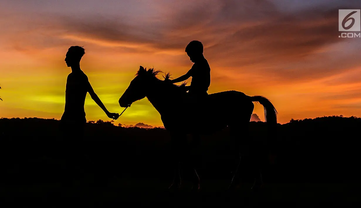 Seorang remaja hendak pulang bersama kuda peliharaanya. Kuda menjadi salah satu ciri dari Sumba Timur. Berdasarkan sejarah dahulu kala kuda memiliki peranan penting dalam peperangan di wilayah Sumba. (Liputan6.com/Johan Tallo)