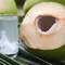 Hari Kelapa Sedunia (World Coconut Day): Manfaat Kelapa & Potensi Ekspor Kelapa RI