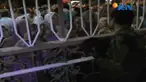Namun petugas hanya mengizinkan seorang pengantar saja yang masuk menemani calon haji.