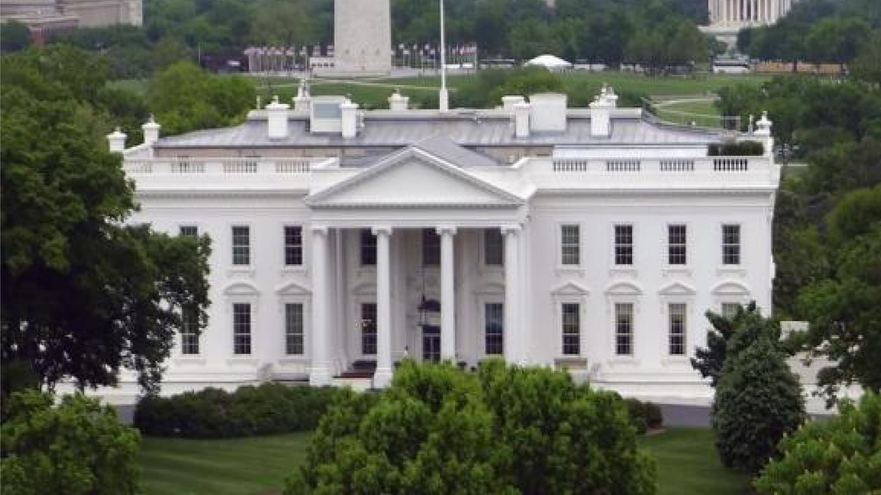 Anjing Penjaga Gagalkan Penyusup Gedung Putih AS 