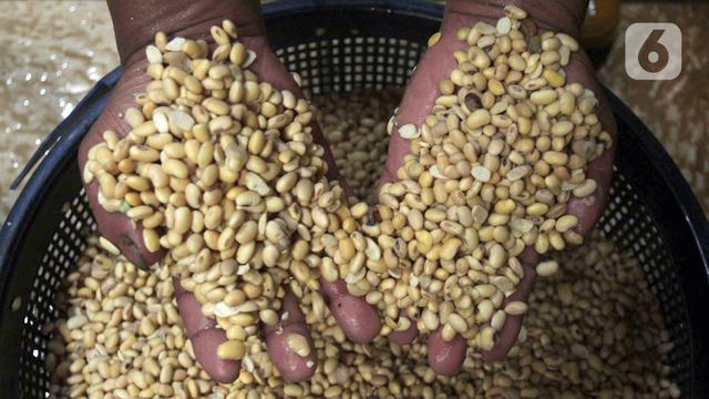 FOTO: Imbas Kenaikan Harga Kedelai, Produsen Tahu Kurangi Produksi